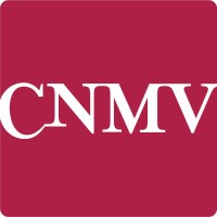CNMV (Comisión Nacional del Mercado de Valores)